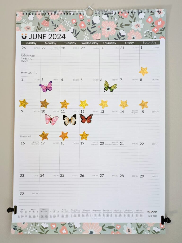 How I Motivate Myself Everyday: A Sticker Calendar! 